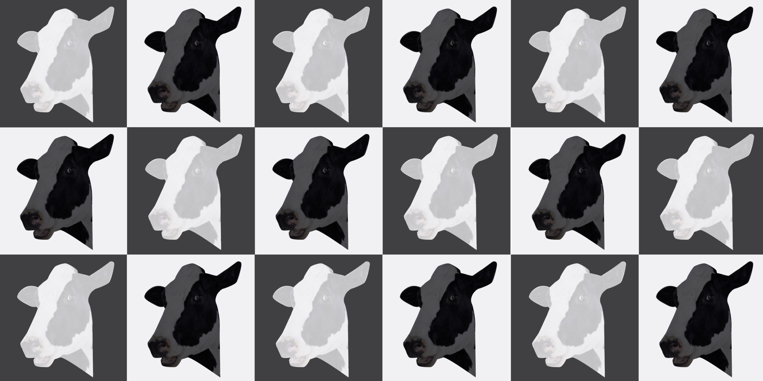 Cow graphic for Periodic Table Workplace