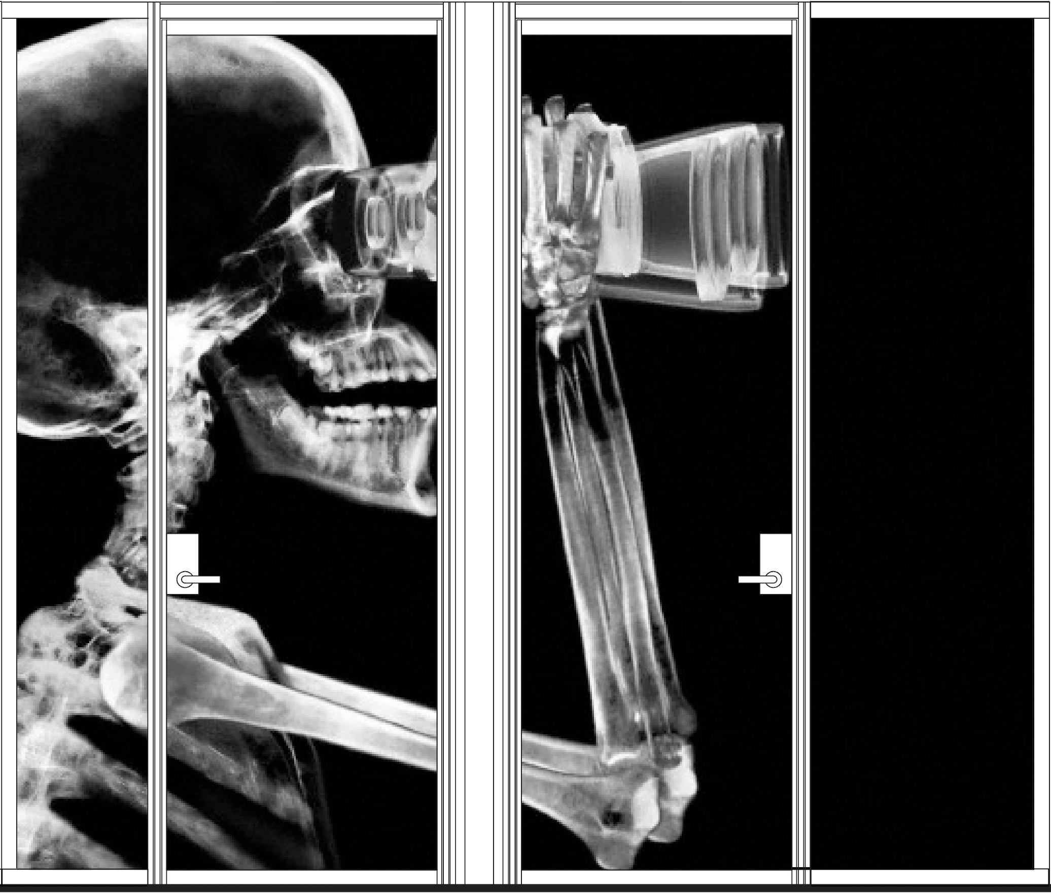 Elevation of skeleton on doors for Periodic Table Workplace