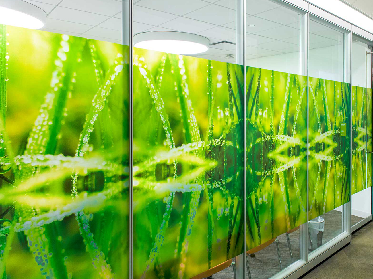 Glass graphics for Workplace Seasons
