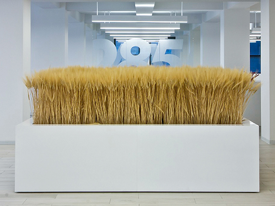 Wheat installation at 285 Madison