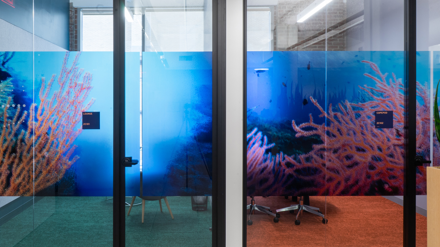 Glass graphics featuring an underwater scene with coral